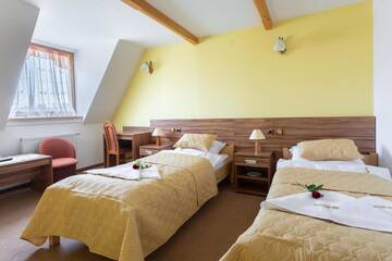 Фото номера Двухместный номер с 1 кроватью или 2 отдельными кроватями Отель Hotel Góralski Raj г. Новы-Тарг 12